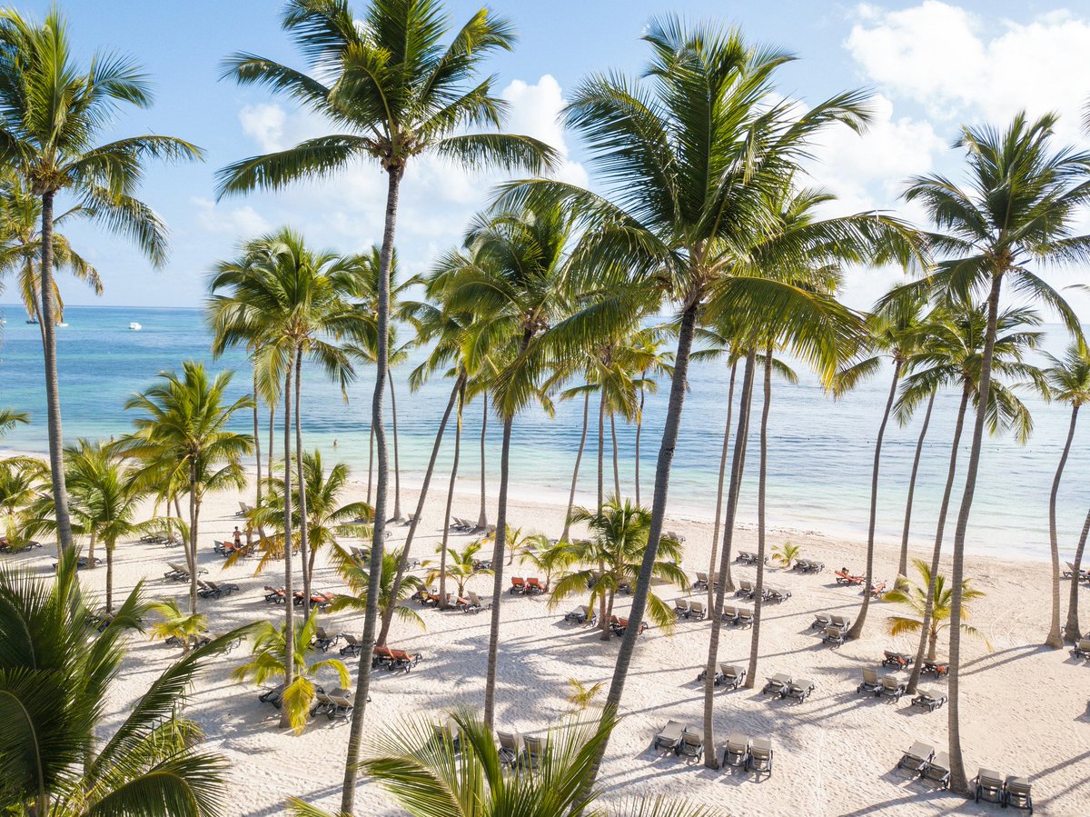 Every day of your vacation will start with a great view.
😍👉brclo.com/2CioMrq
 
#BarceloMoments #BarceloBavaroGrandResort #DominicanRepublic