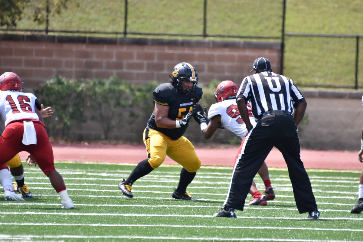 NFFNetwork's tweet photo. Congrats @lewter_austin, the @BSCsports nominee for the 2019 #CampbellTrophy! https://t.co/mfGFXH24UM https://t.co/6mXukJ9ffX