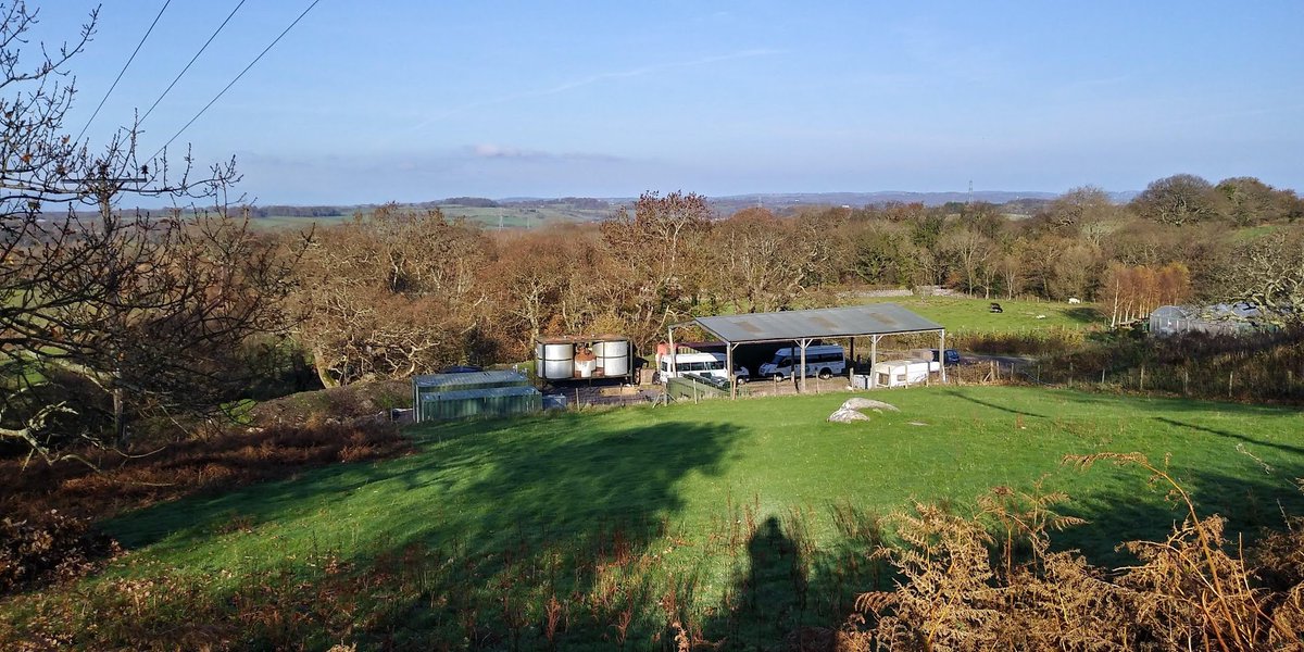 Now that the IFBB plant is in place on the former composting site, it's pretty well hidden away on the farm. The old composting barn still looms over the revised site. #redirect_biomass