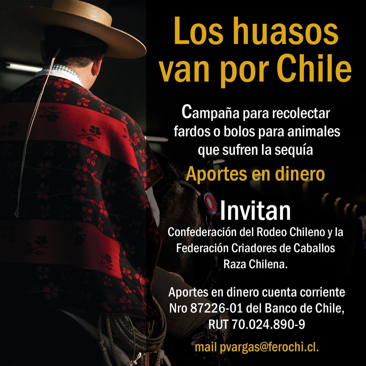 ¡Apoyemos esta campaña solidaria! todos podemos aportar de alguna forma! compartiendo, depositando plata, coordinándose con los Presidentes de Asociaciones, ¡VAMOS TODOS! ¡AYUDEMOS A NUESTROS ANIMALES! 🇨🇱🇨🇱🇨🇱
Información: huasosporchile@ferochi.cl
#chileesunico