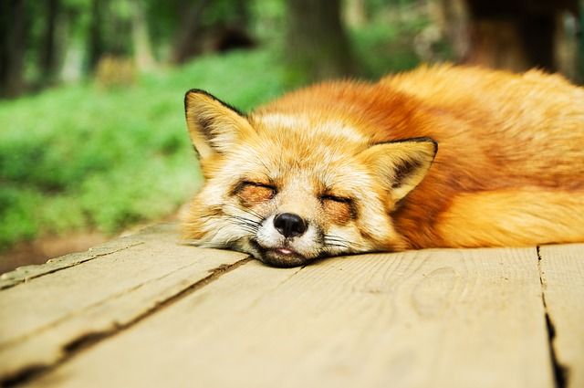 UCI_ICTS's tweet photo. Do our genetics play any factor in our sleeping patterns? 😴 https://t.co/iEZVwjuZvI https://t.co/UoIRRmwRKs