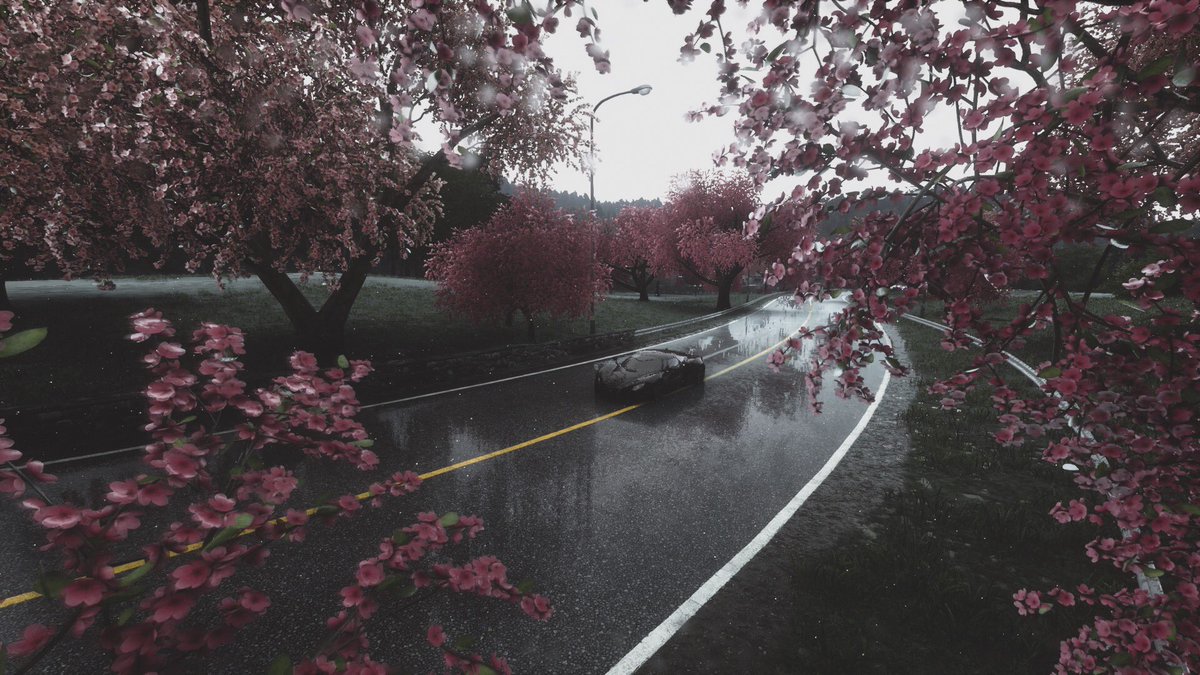 emily_vrp's tweet image. Gave DriveClub another go and for £5 was definitely worth it. #DriveClub #Evolutionstudios #Playstation #VirtualPhotography #PS4 #Gamephotography #Playstationeurope #Societyofvirtualphotographers #Thecapturedcollective #GamerGram