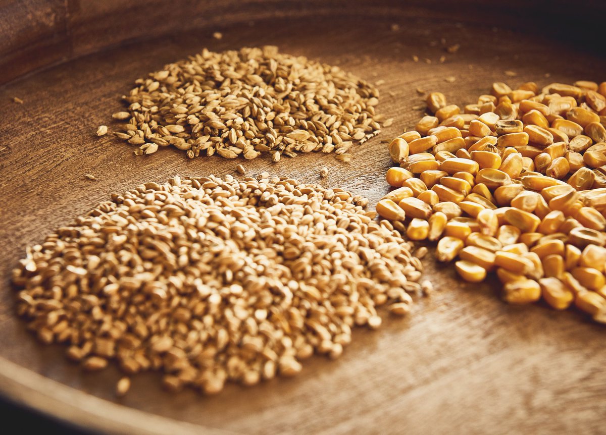 Preservtndistil's tweet photo. Corn, wheat, and malted barley... the three ingredients that will fit the MASH-bill. The percentages? We’ll save that for your visit here 🌽🥃 #corn #bourbon #whiskey #crafttrail #kentucky https://t.co/glw0UDQkrS