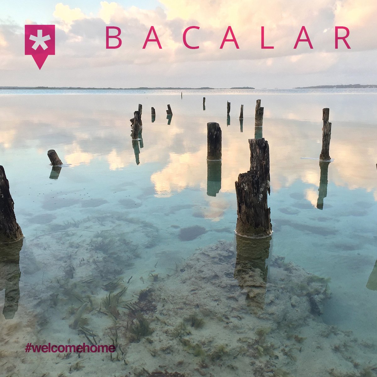 Koox Hotels tweet media