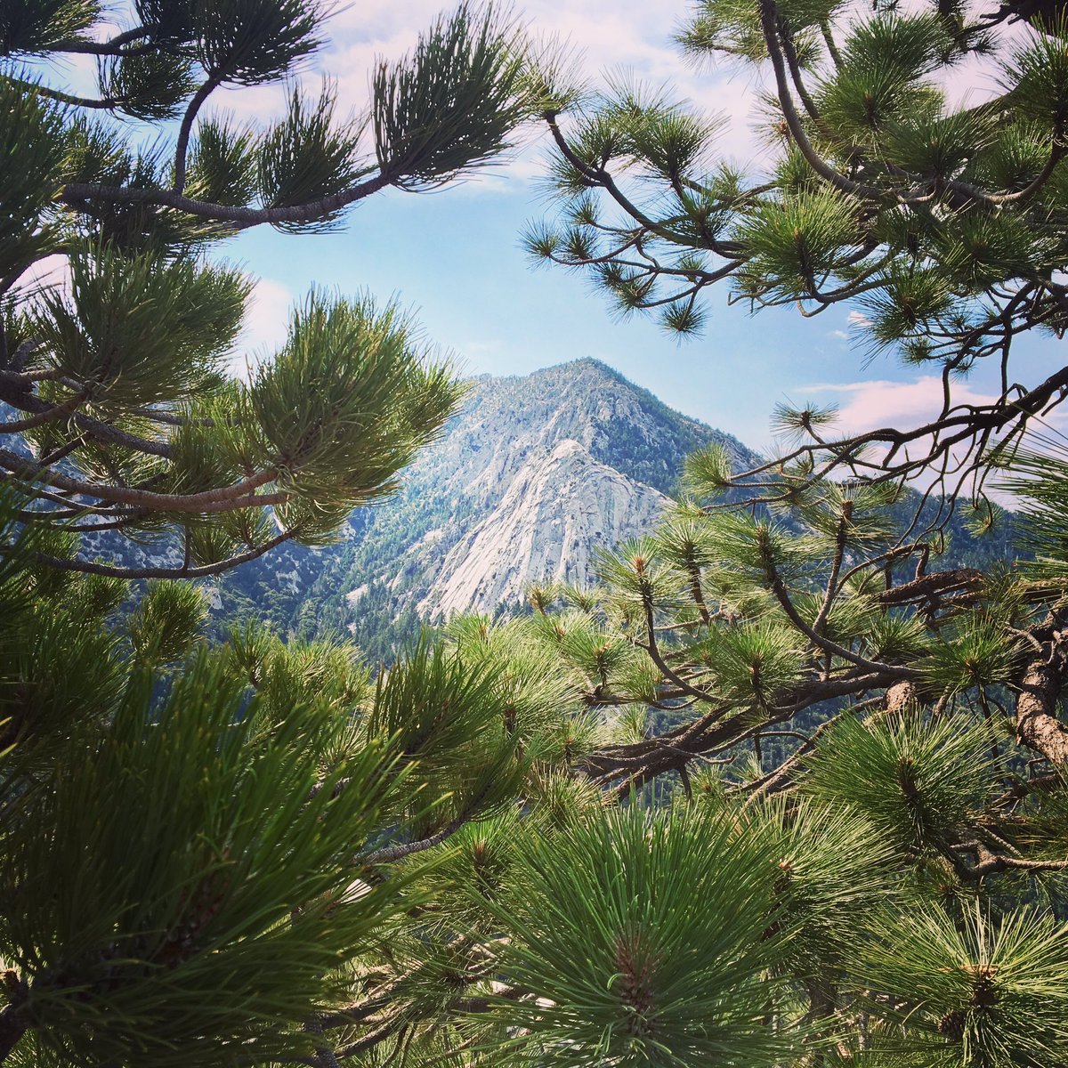 MG44Graf's tweet photo. @SanBernardinoNF To celebrate let’s share some of our favorite pictures of Idyllwild. I will go first. Tahquitz Peak from Suicide Rock #Idyllwild #IdyllwildStrong https://t.co/DL4D3grhkm