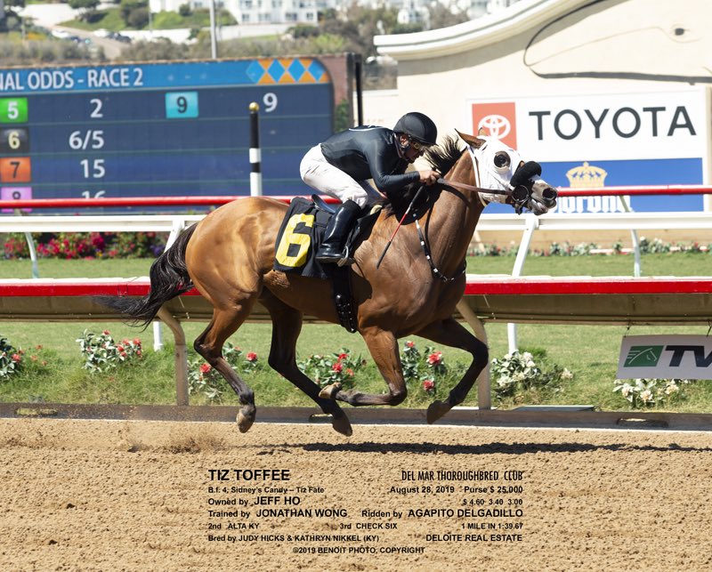 JAWongRacing's tweet image. Tiz Toffee gets the job done today @DelMarRacing wire to wire. Congratulations and thank you to his owner Jeff Ho &amp;amp; jockey Agapito Delgadillo. @MsRuffian @SpeedSilks @FLAIRstrips @1Asaulmarquez #WireToWire