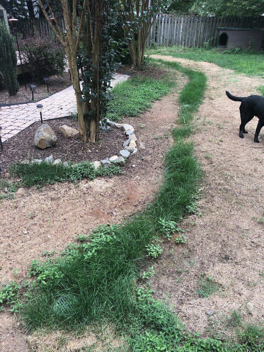 EPP’S LANDSCAPING tweet media