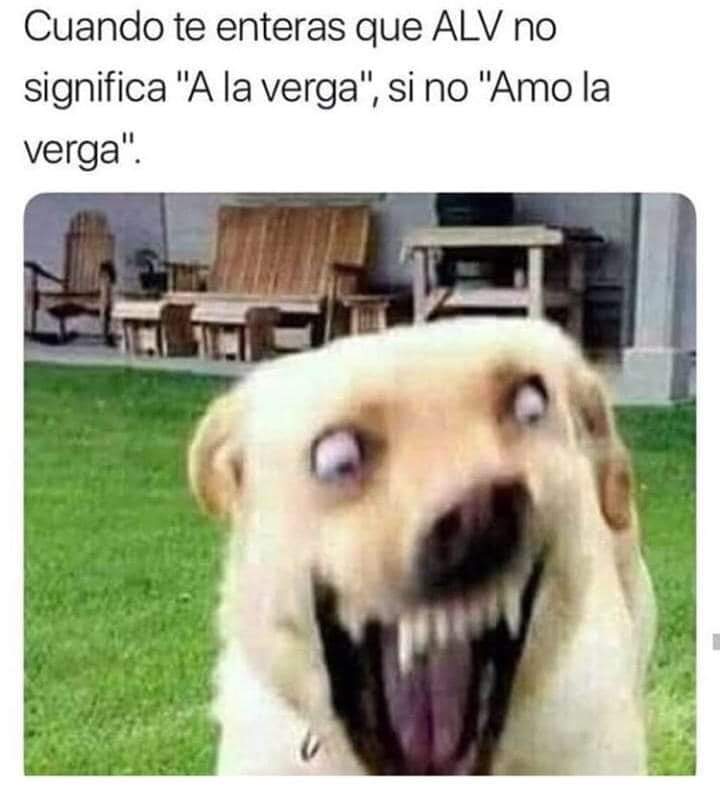 ɨȶʐզʊɛɛռʀ tweet media