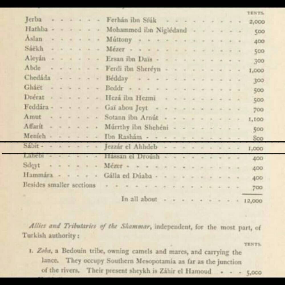 احصائية فرنسية نشرت تقريبا في عام 
 1857 تذكر عدد بيوت كل قبيلة من شمر وشيخ كل قبيلة 
ويظهر فيها عدد بيوت قبيلة الثابت 
و شيخ قبيلة الثابت 
الشيخ جزاع الحدب