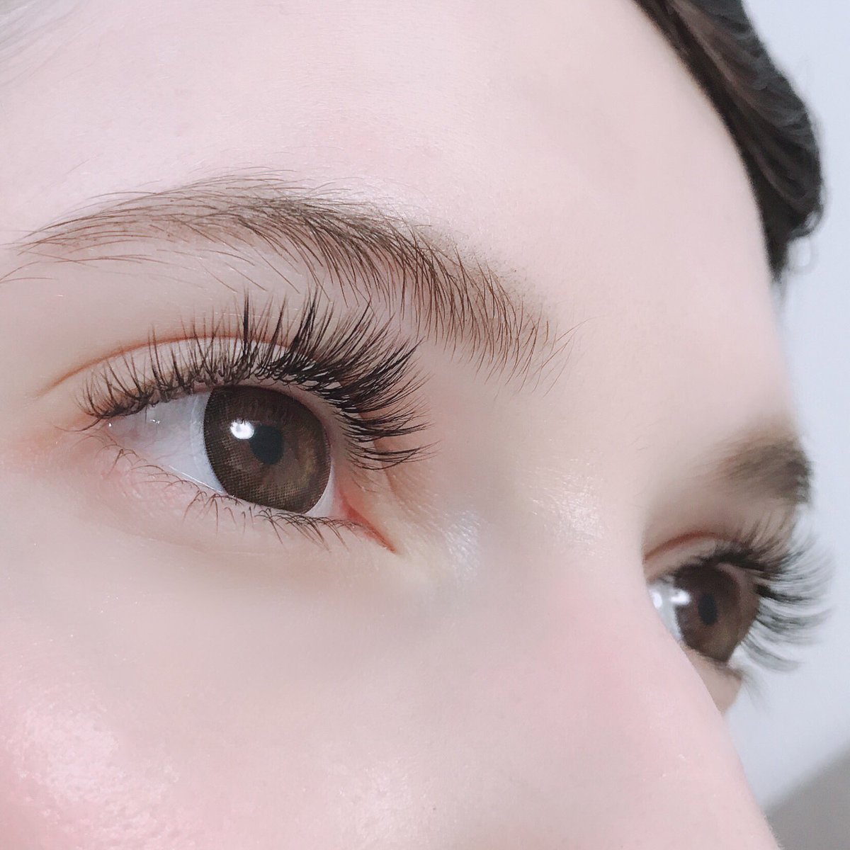Otama Lash Otama0626 Twitter Otama Lash Otama0626 Twitter