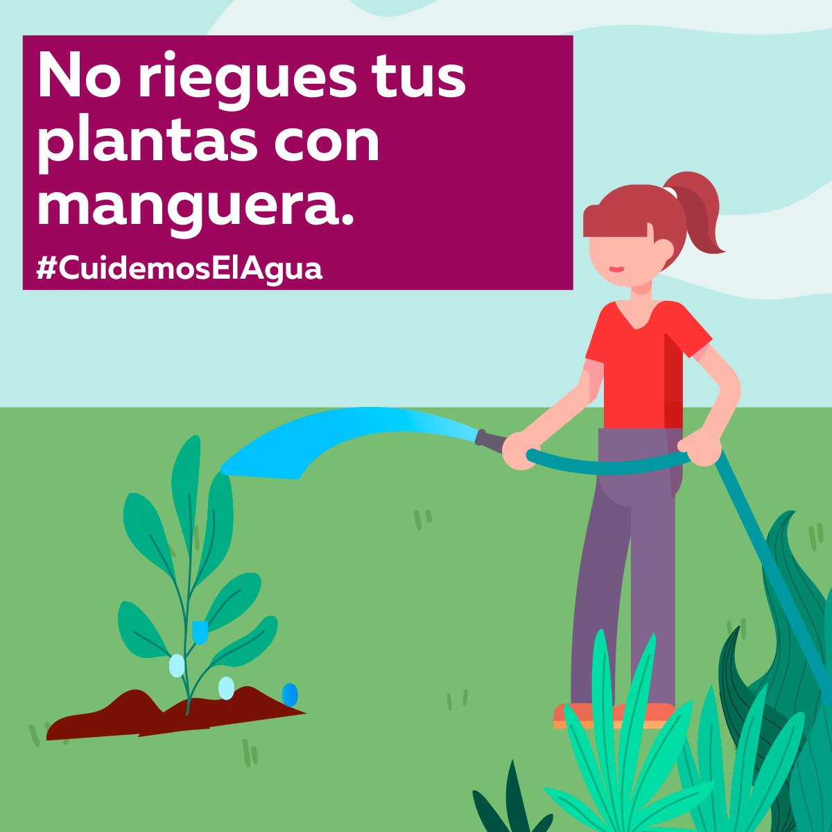 AlondraMoncada7's tweet photo. 5. No juegues tus plantas con manguera.

#CuidemosElAgua https://t.co/wPSG7Fx4t4