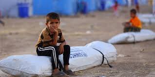 Mh_Darwish's tweet photo. وتسأل: ما معنى كلمة " لاجئ " ؟!
سيقولون: هو من " اقتُلِعَ " من أرض الوطن! https://t.co/cWXL06f1el
