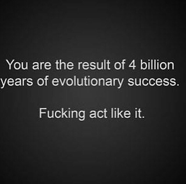 Paddy O’Furniture tweet media