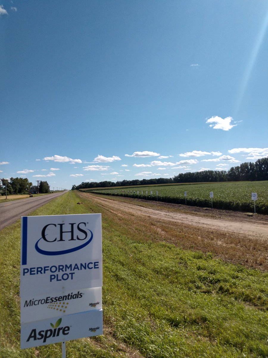 Jacob_Goeden's tweet photo. Thanks to everyone who attended the Valley City plot tour this morning. Was an awesome morning talking Precision Ag, in-furrow fertility, new varieties and traits. Can't wait to see the data this plot will provide come fall! https://t.co/yg5gdnxjup