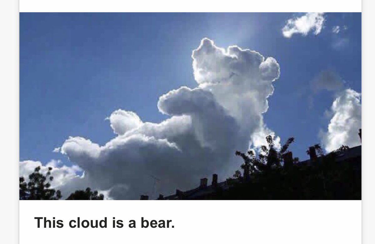 YorkYork11's tweet photo. @SheinelleJones Saw this and thought of you! https://t.co/M3LnE93oBV