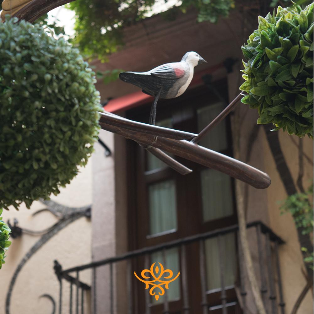 Los espacios en Hotel de La Soledad están llenos de magia ¿cuál es tu favorito?