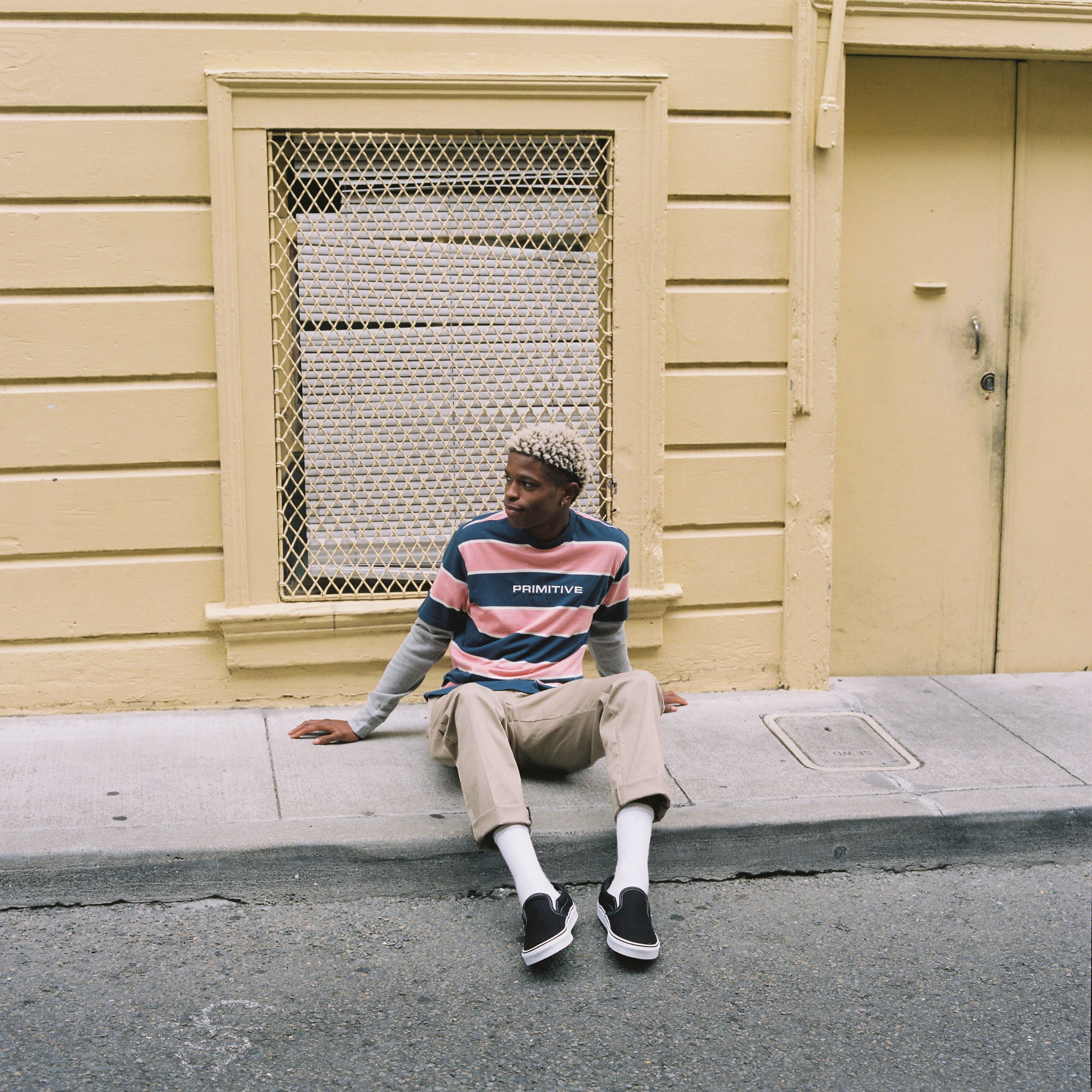 Primitive shop vans collab