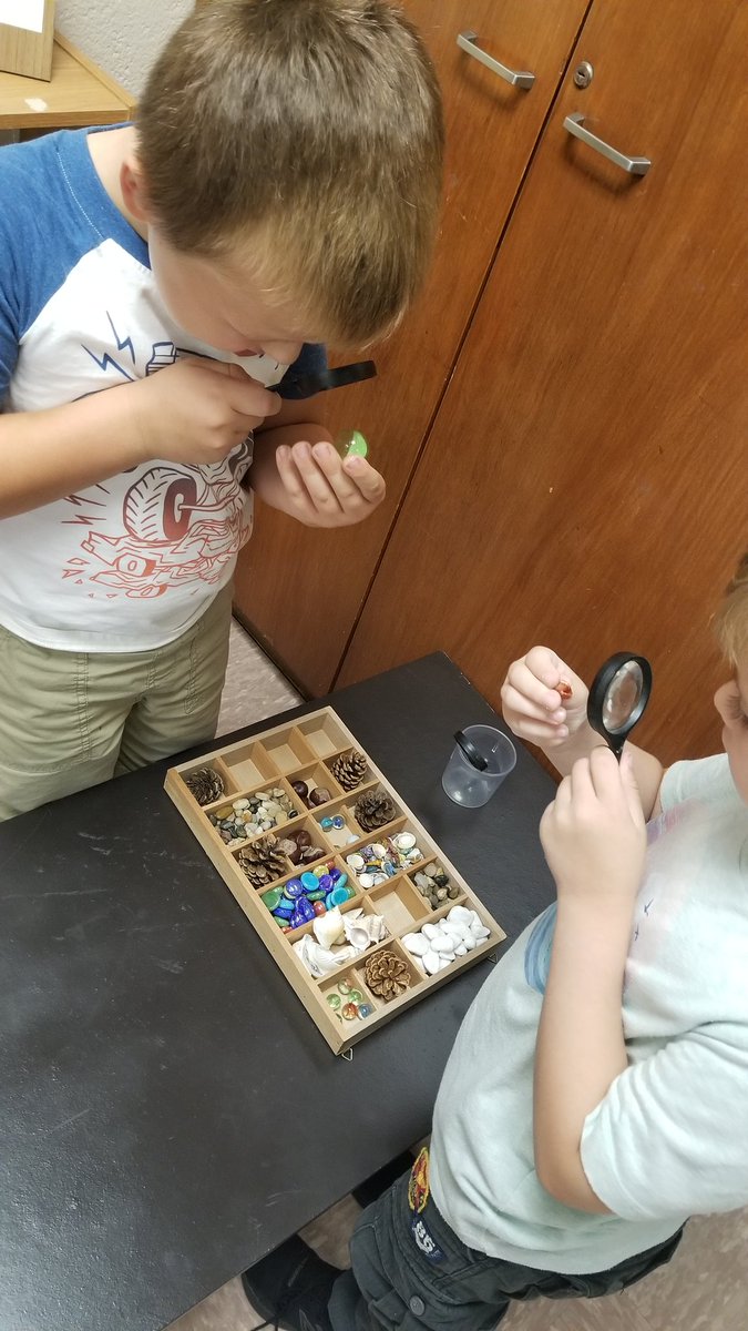 Katie McGinnis tweet media