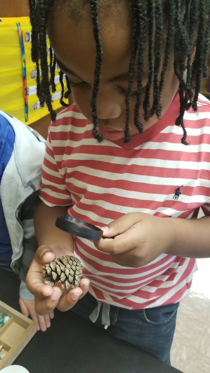 Katie McGinnis tweet media