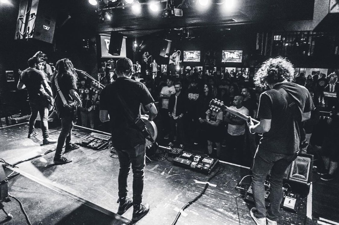 Pirate Entertainment tweet media