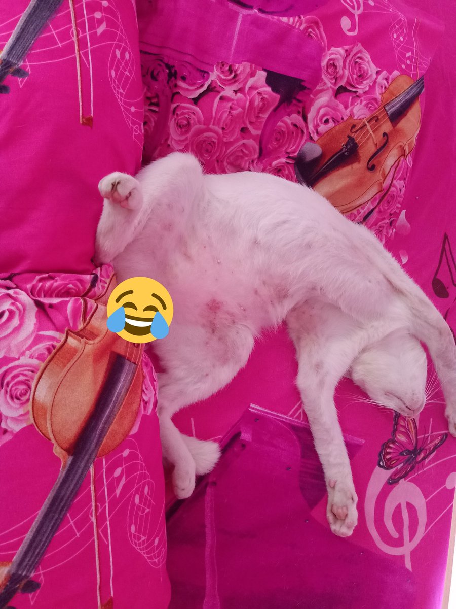 kunya (@kunya03) on Twitter photo 