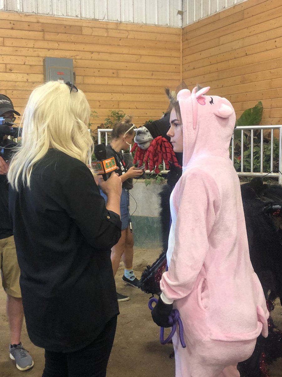 Woooooooaaaahhhh there is a 4-H tv station here?? Charlotte llama handler is talking about handling llamas has helped her come out of her shell.  I love this supportive llama community!