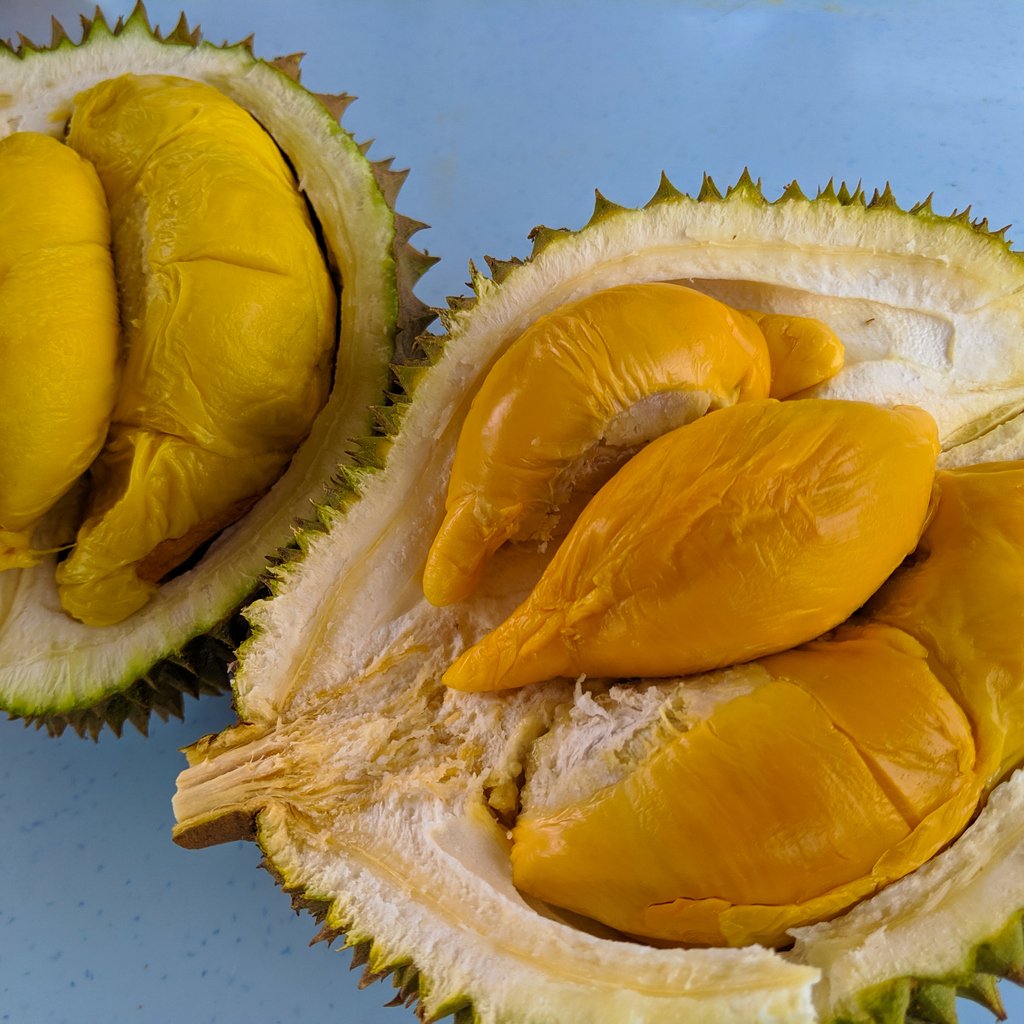 mobaofone's tweet photo. Durians. You either love them, or have 'em. There is no room for middle ground, you have to take side. I would say more but Twitter has its limits, so please head over to my Instagram account for more :)

😁 https://t.co/GJZPfP6a9Z

#durian #durianlovers #singapore⁠ https://t.co/TngcdbSEWo