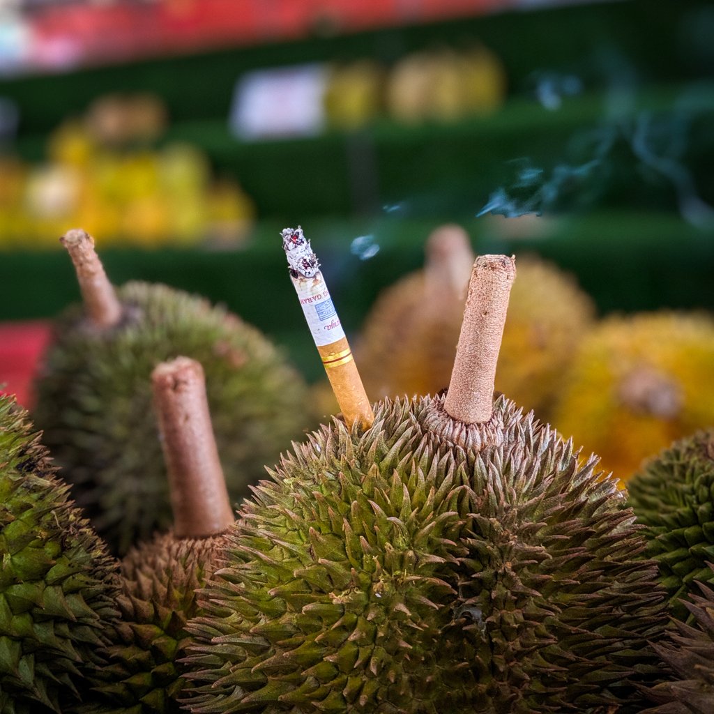 mobaofone's tweet photo. Durians. You either love them, or have 'em. There is no room for middle ground, you have to take side. I would say more but Twitter has its limits, so please head over to my Instagram account for more :)

😁 https://t.co/GJZPfP6a9Z

#durian #durianlovers #singapore⁠ https://t.co/TngcdbSEWo