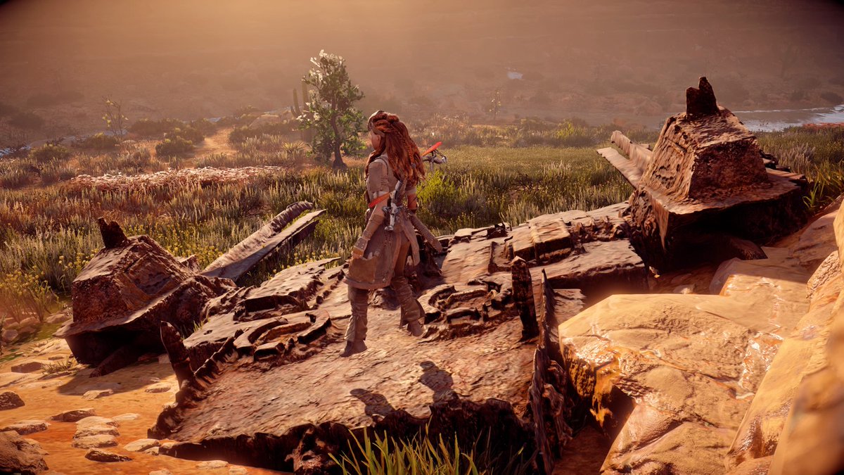 lebaleelee's tweet photo. Aloy spawned in #hovermode #HorizonZeroDawn #PS4share https://t.co/DkFc7ituoU