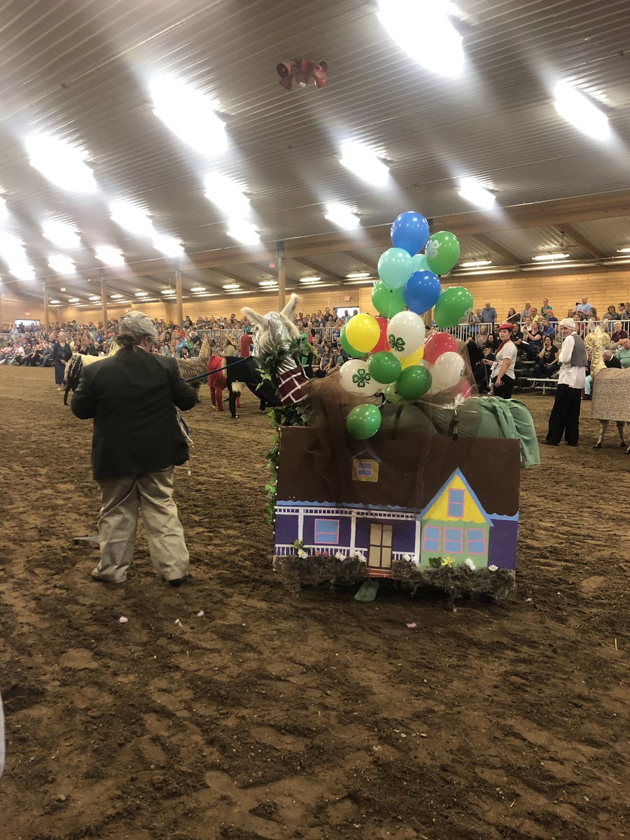 Up llama has to win. This is her last year and the handler made this costume with her grandmother.