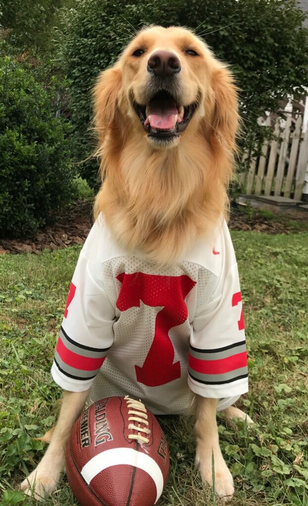 Kelli DeSimone tweet media