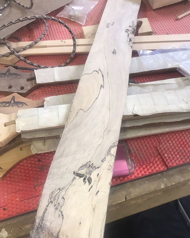 DeMontGuitars's tweet photo. Spalted maple stabilized fretboard blank, made to order for an old friend !
#fretboard #maple #spaltedmaple #locallumber #wood #luthier #guitarmaker #guitarwood #customguitar #luthiersupplies #demontguitars https://t.co/LWYotaGNMR