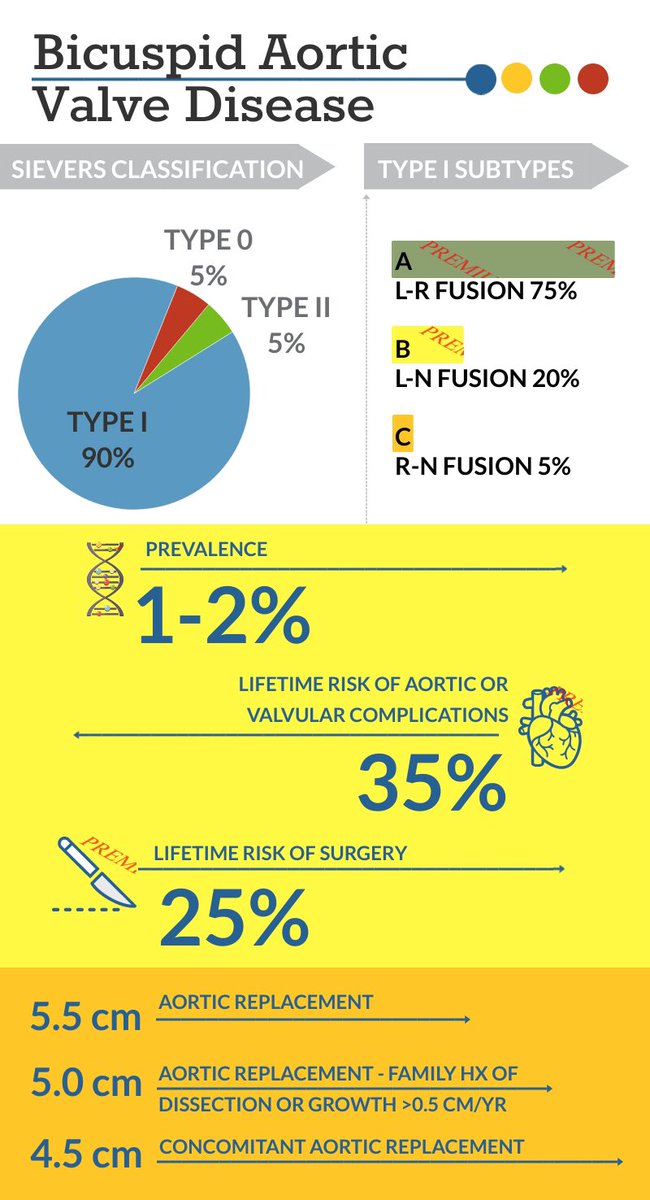BobbyYanagawa's tweet photo. Cardiac surgery made simple... https://t.co/YYCEApHiXh