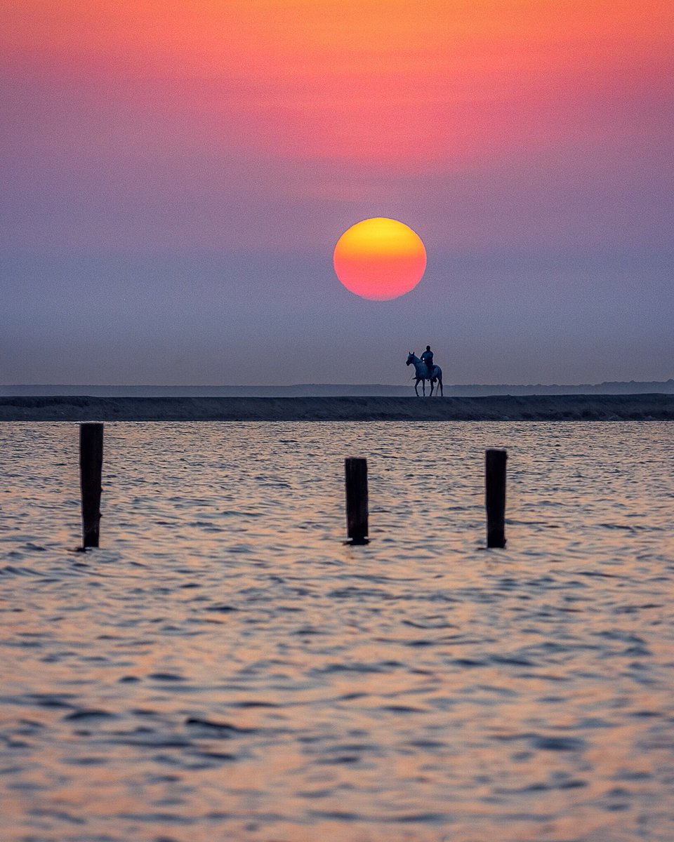 AsimsGallery's tweet photo. Horse Rider- Nurana Island, Bahrain 🇧🇭 #travelphotography #bahrain #photography #asimkv #landscapephotography #manama #photooftheday #momentoftheday #exclusiveshot #bahrainphoto #bhphoto #bahrainphotographers #fujifilmxt3 #xt3 #asimkv #fujinon50140 #fujilove #fujifilm https://t.co/uTdP5ISb8q