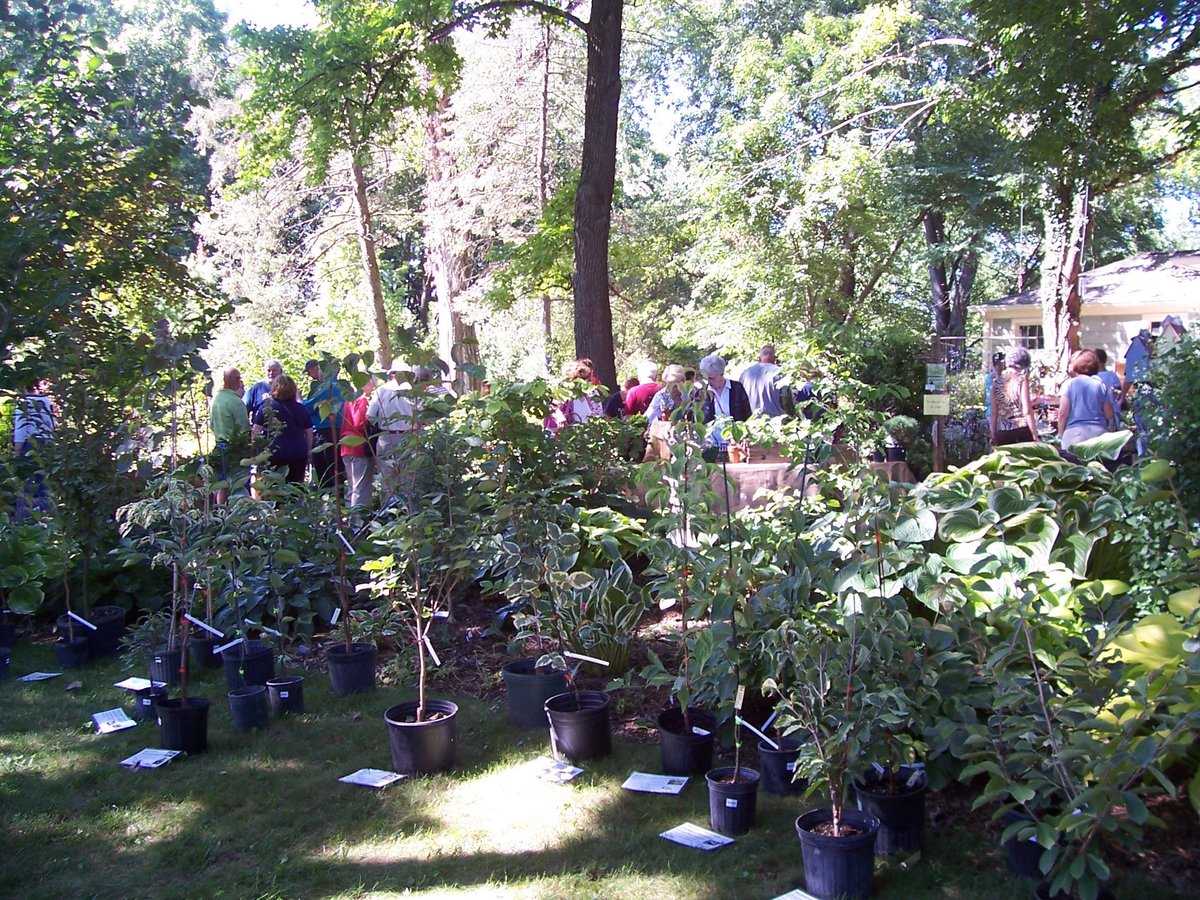 MiamiValleyHsta's tweet photo. Attend Bob’s Garden Fair
Sale of Plants &amp; Garden Art
Sat., Aug. 31, 2019, 10 am-3 pm
Features several Miami Valley Hosta Society members &amp; other vendors from 5 states. 
Bob Iiames’ Yard
222 E. Wenger Rd, Englewood, OH 45322
Cash &amp; checks preferred. A few vendors take credit cards https://t.co/WwjDVRZP0y