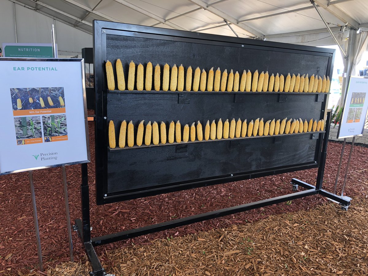 Pretty cool display on the importance of singulation &amp; emergence. My grandpa once told me the most important piece of equipment a farmer owns is his planter. #FPS19 <a href="/shane_precision/">Shane Myers</a>