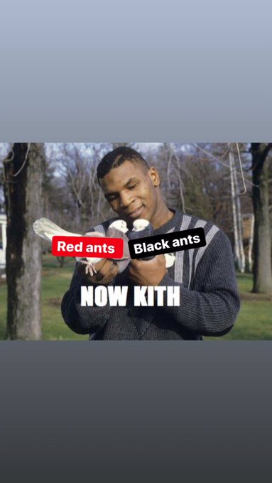 Watch 𝙁𝙡𝙤𝙧𝙞𝙙𝙖𝘽𝙤𝙮 🌴🏄🏾‍♂️'s leaked NSFW photo on TwXstars