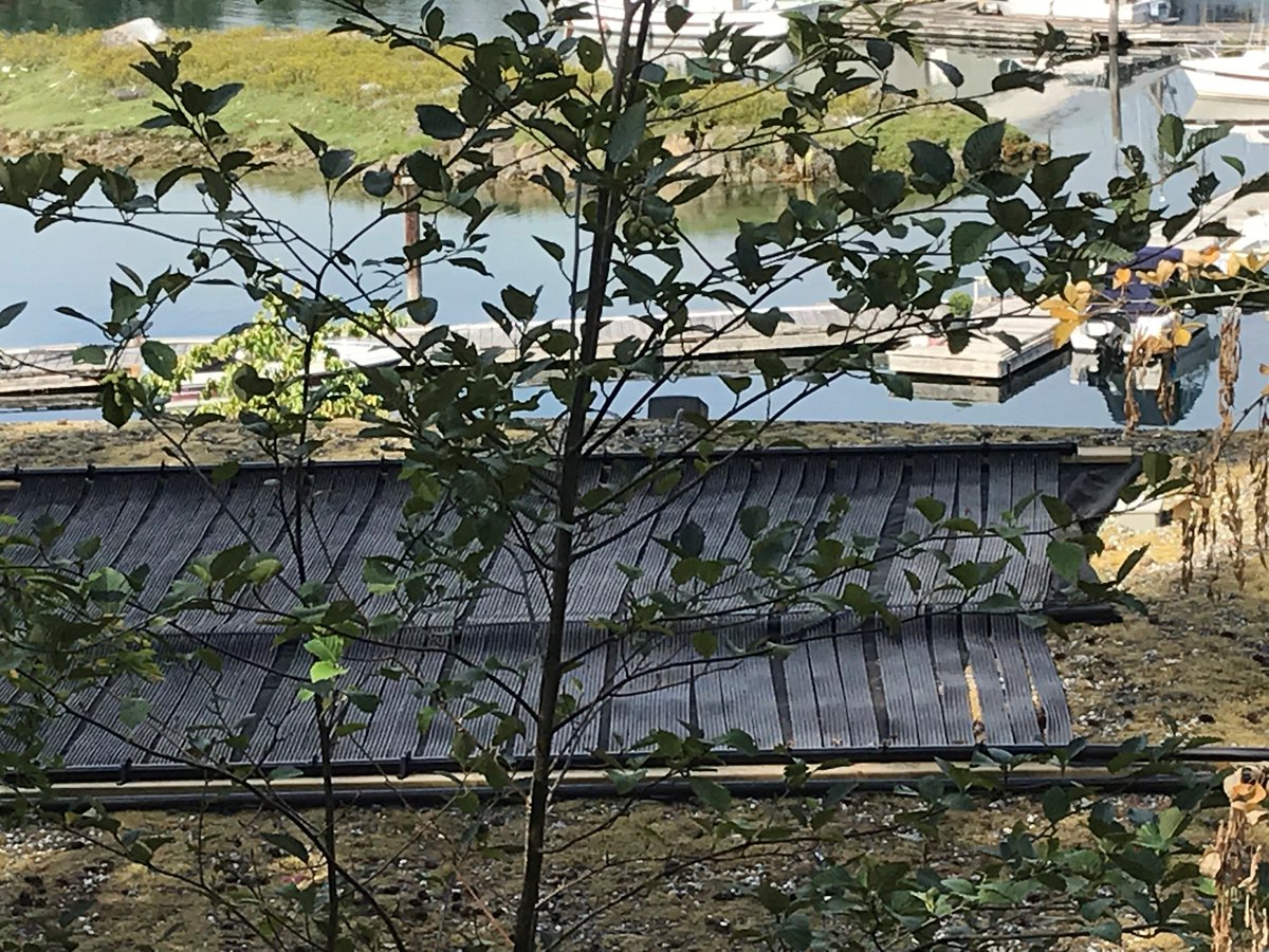 The blue infinity pool at Painted Boat Resort is now green!  Striving to be as 'green' as possible, Painted Boat Resort has installed solar panels to heat our infinity pool.  These panels have provided 100% of the energy to heat our pool to a comfortable 80 degrees all summer.