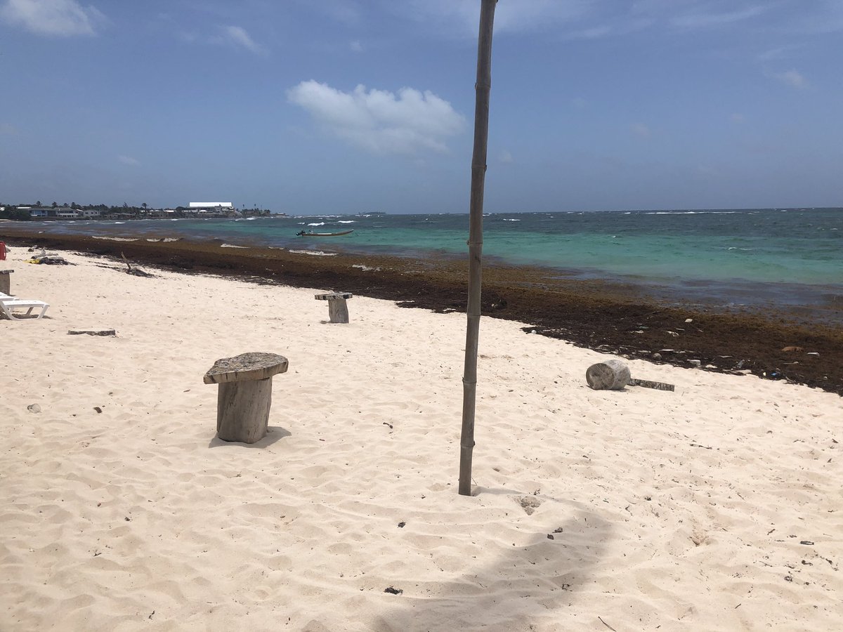 JCVRJ's tweet photo. Muy impactante y triste ver como en una isla tan linda como lo es San Andrés, que vive 100% del turismo el gobierno local no sea capaz de tomar cartas en el asunto y limpiar las playas.@GobernacionSai @Avianca @VivaAirCol @CopaAirlines_co @DecameronHotels @wingo @HotelesOn https://t.co/23PZats5MV
