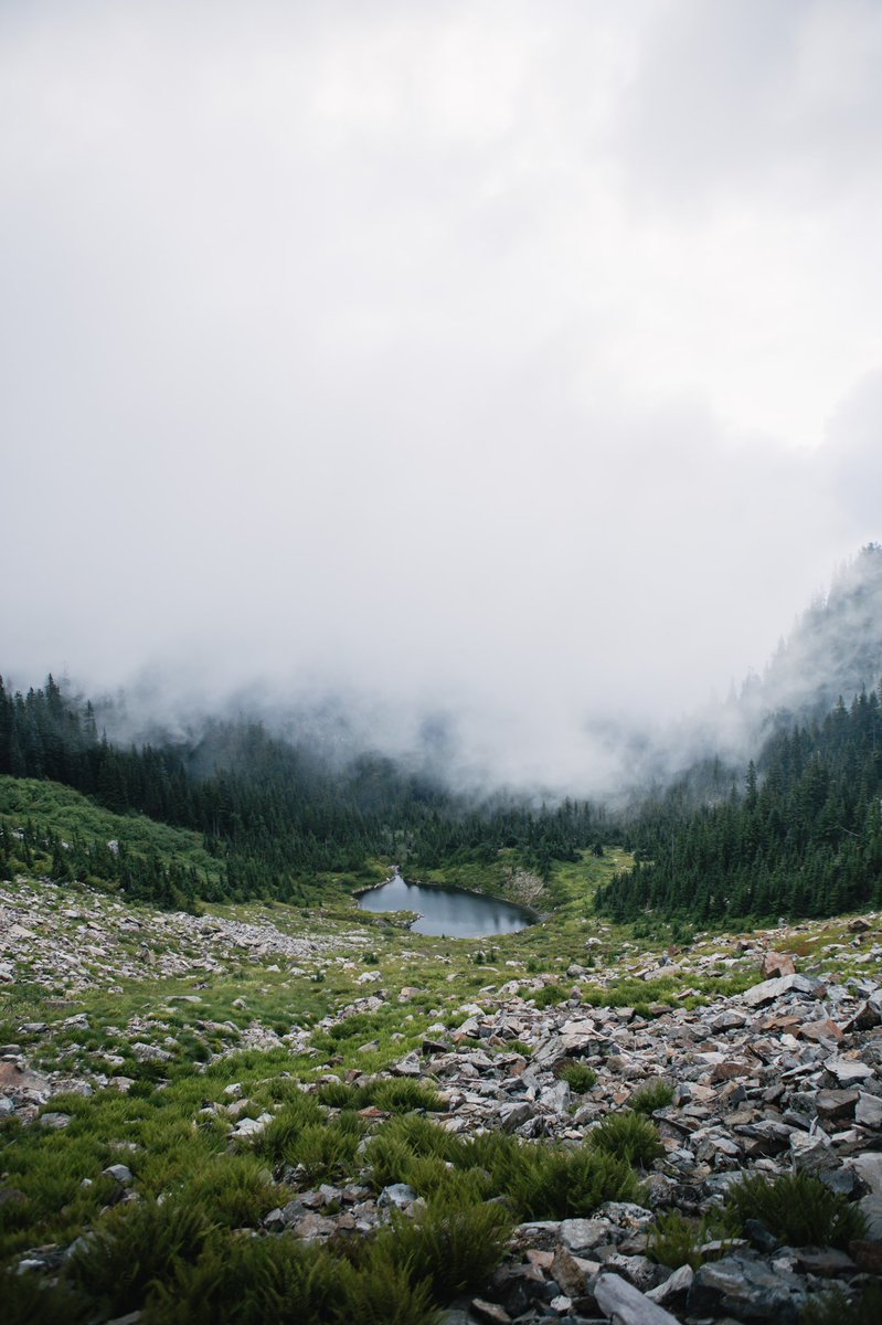 SpencerKK_'s tweet photo. Summer feeling like fall in Washington https://t.co/6cgZSYIrox
