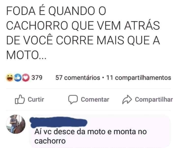 BichinhosFB's tweet photo. Errado num tá https://t.co/vwfFOibDhI
