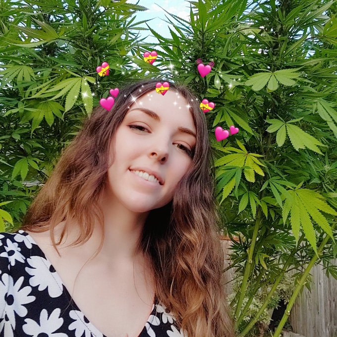 Hi, how are you? How high are you? #NewProfiIePic https://t.co/5eK8H3RQLV<a href="/tag/newprofiiepic"class="tags">#NewProfiIePic</a>