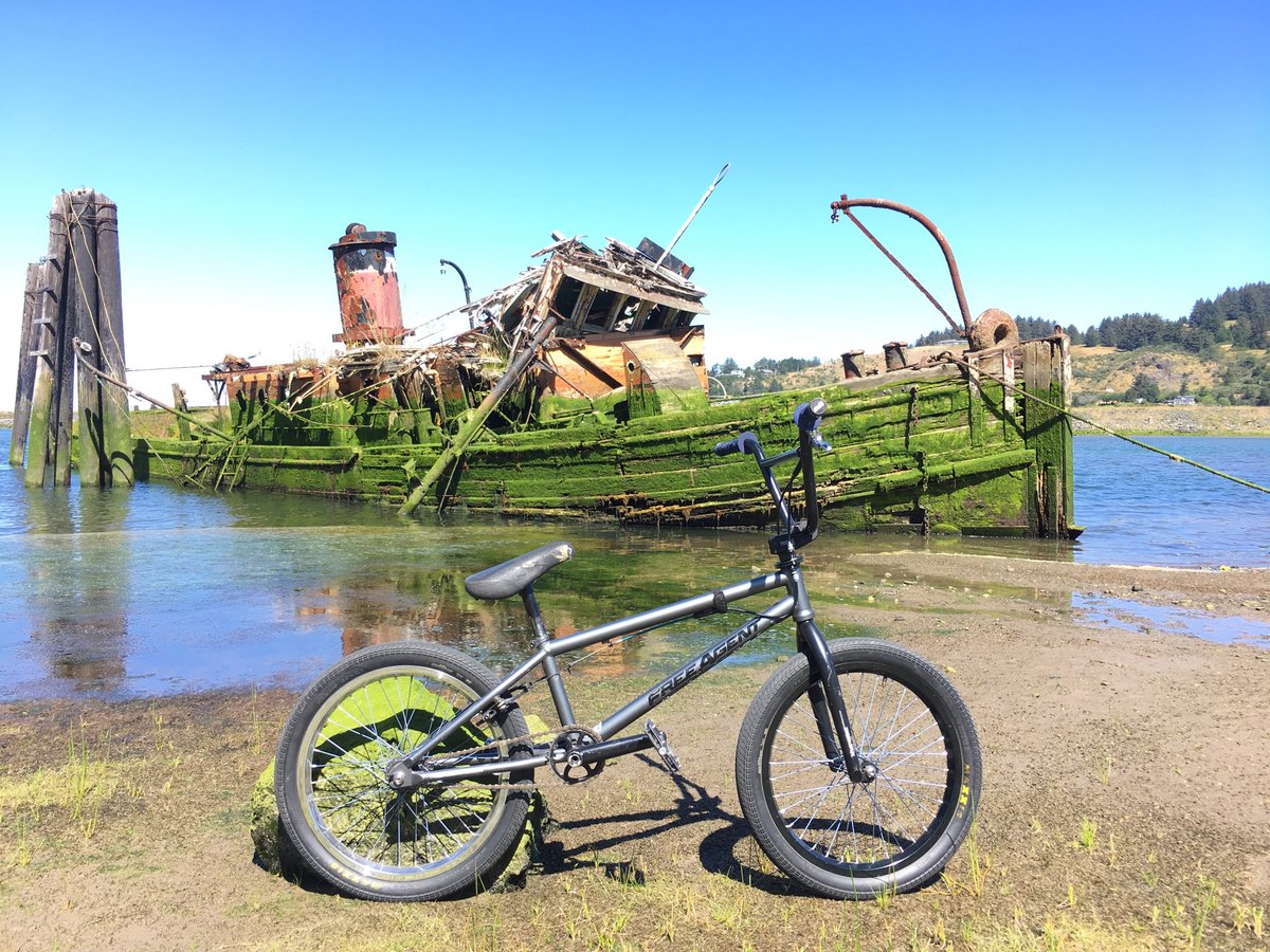 Dustin McCarty tweet media