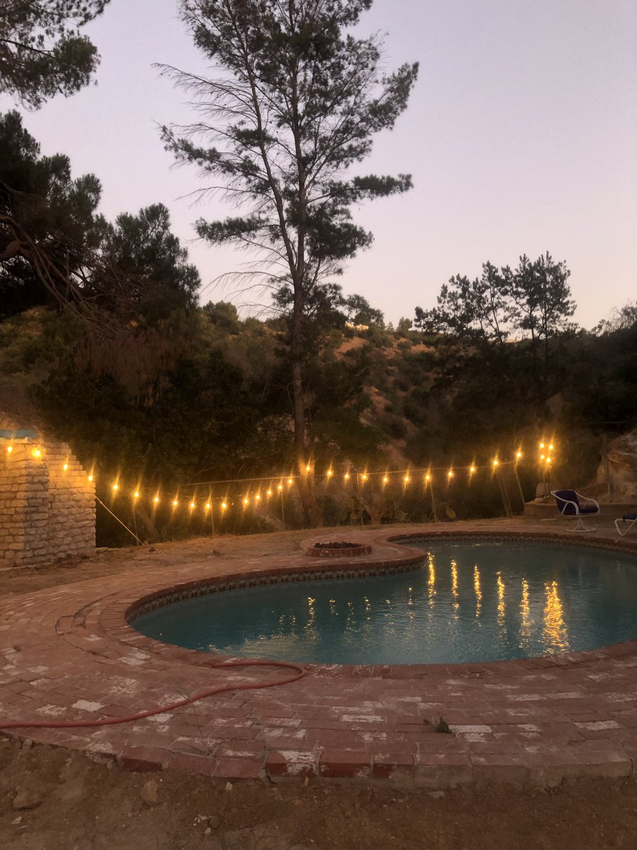 TheSlopedGarden's tweet photo. It’s mesmerising at night! #FalconsLair https://t.co/jhXjFa4CGH