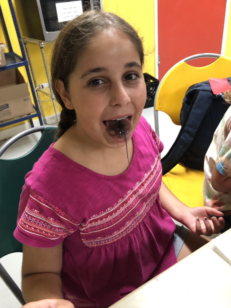AE_Mullen's tweet photo. Squid Challenge 😳 #fescatalina19 https://t.co/szbYFmcILT