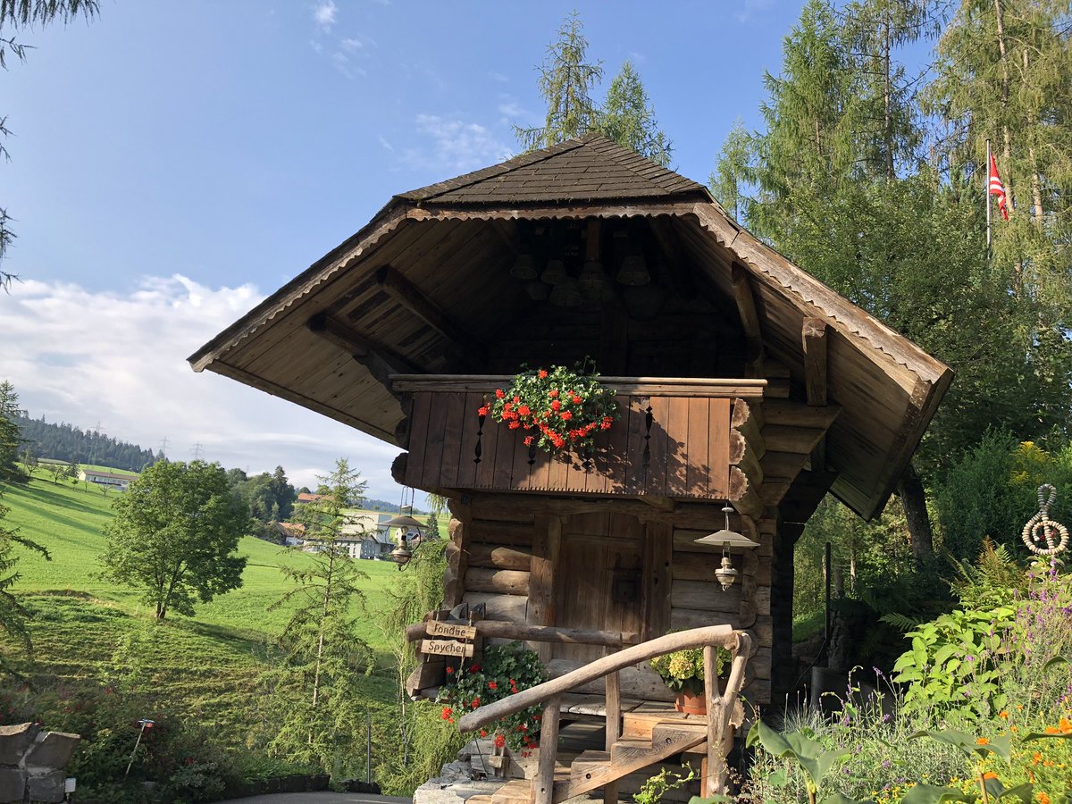 Simon_Azzam's tweet photo. Performance Camp in the #Emmental 💪 #appenberg #lovelyswitzerland https://t.co/UqFQXZUWYf