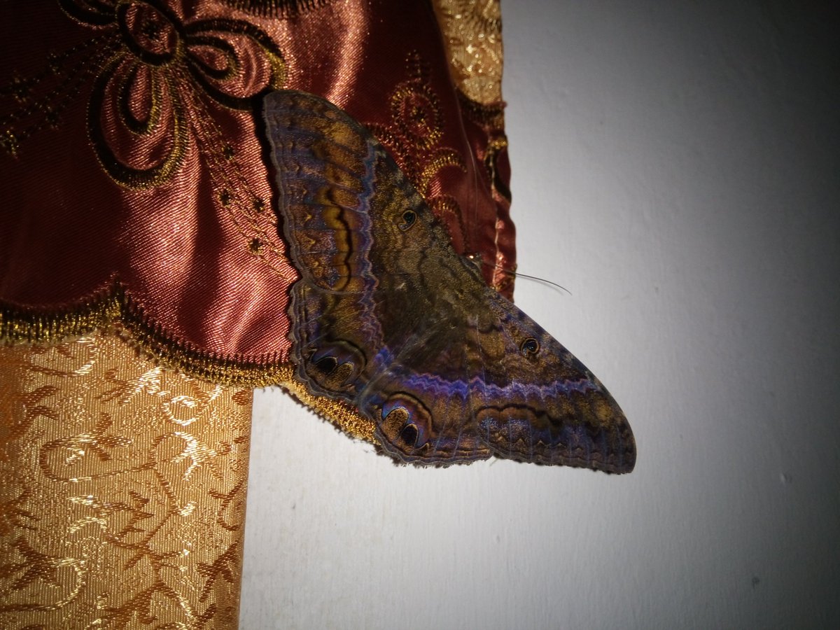 pdf philips atlas of world history concise edition historical atlas