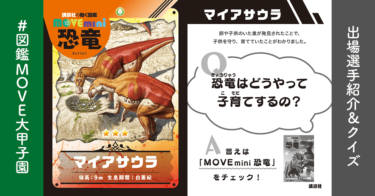 選手紹介】マイアサウラ🦕（恐竜組） 国語B 算数C 理科A 社会A 体育D