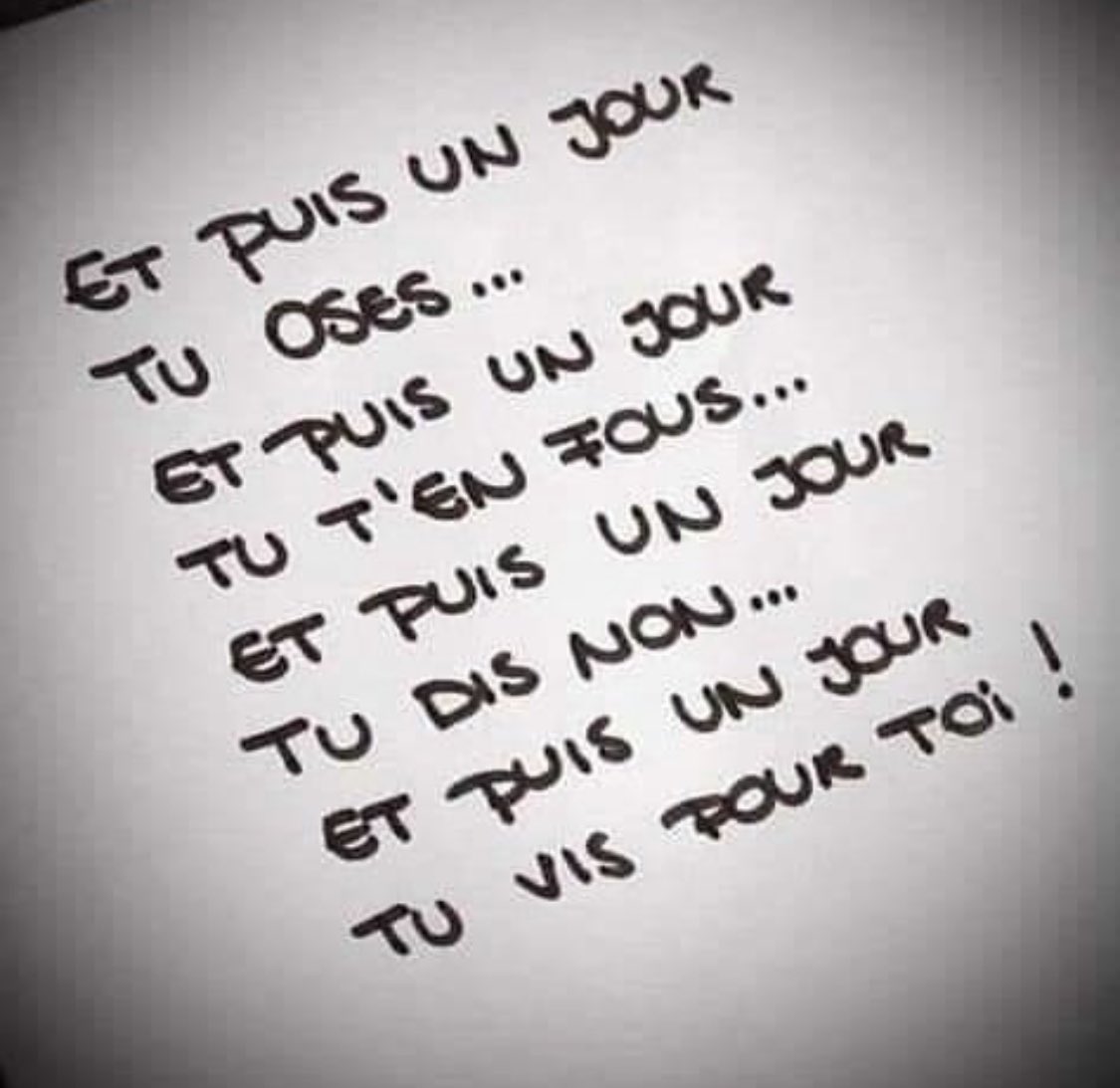 StephBert4's tweet image. 