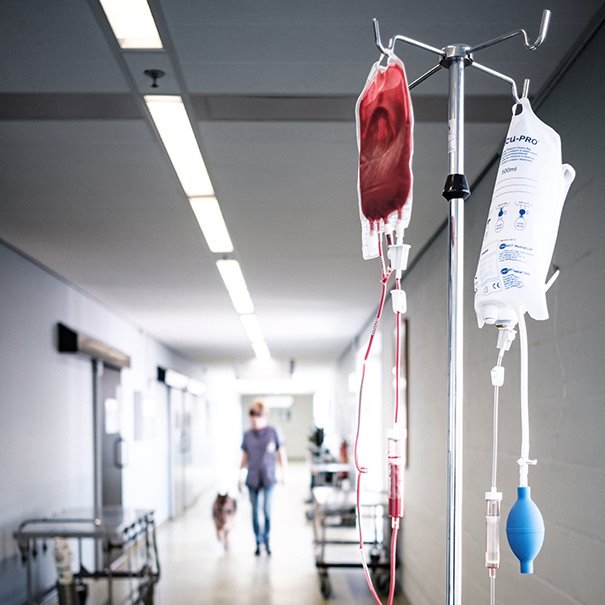 Vacature: 
#Dierenarts Spoedkliniek Gezelschapsdieren Midden-Nederland (0,4 - 0,8 fte)
Ben jij klaar voor een afwisselende baan en vind je het prima om te werken als de meeste andere mensen vrij zijn? Aarzel dan niet om te reageren! 
uu.nl/organisatie/we…